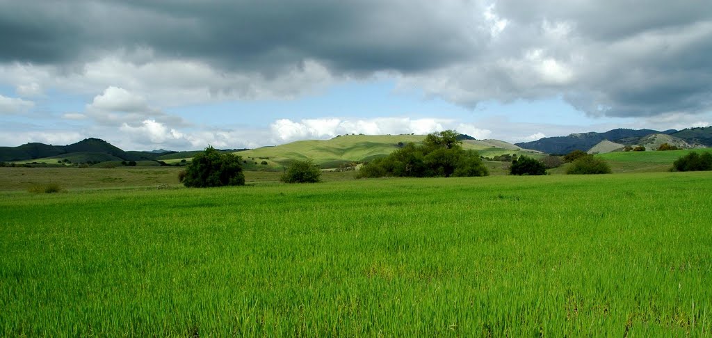 Santa Ynez Valley by kSj (Klare&John)