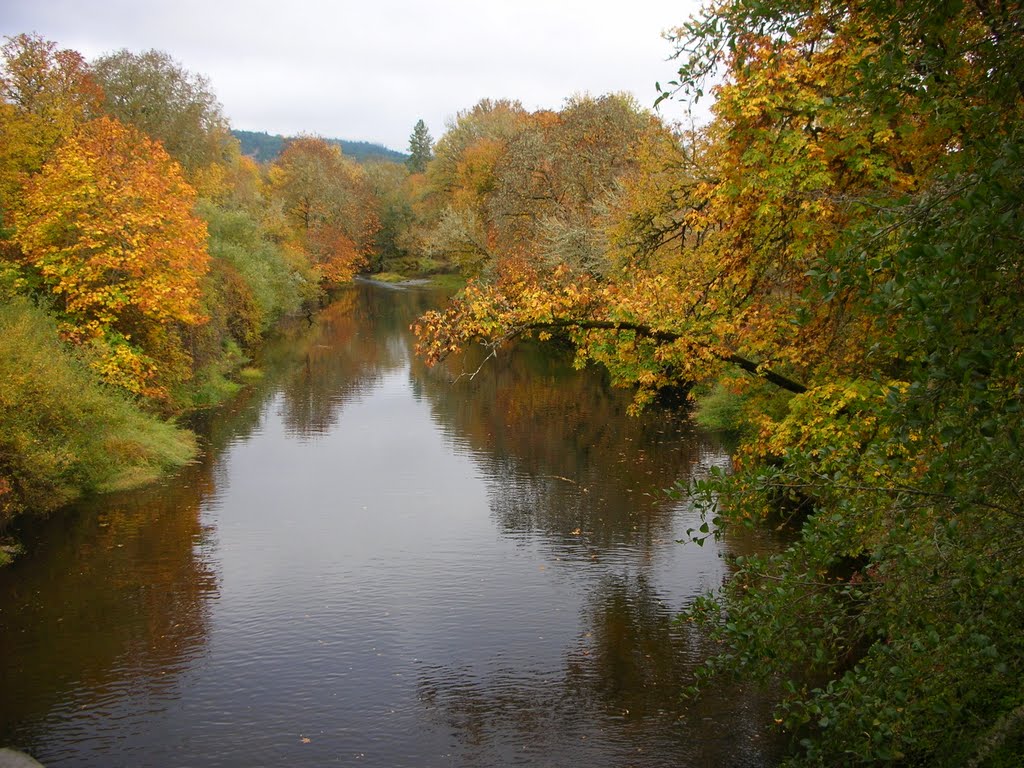 Calapooya River by roberson.t