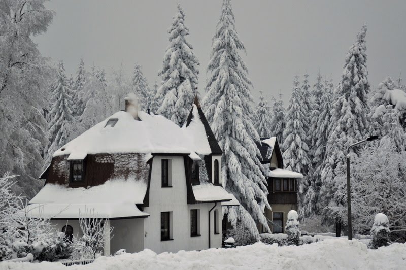 Winter in Schöneck by Werner Beneke