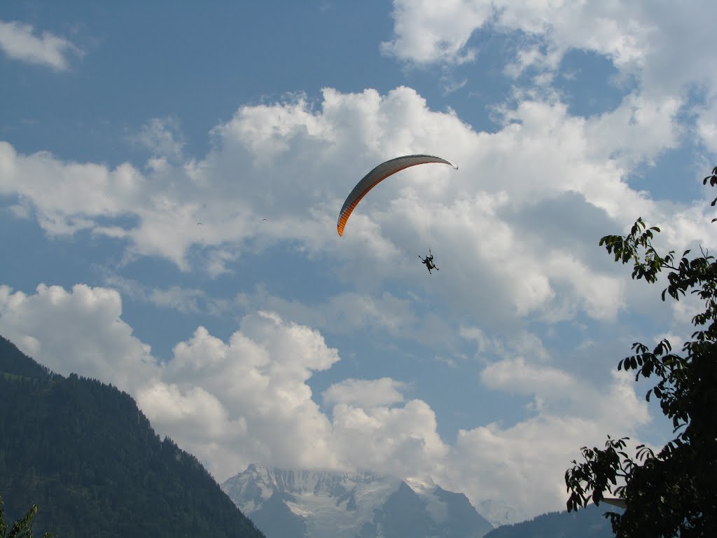 Jungfrau view from Hohematte Park in Interlaken by Laura