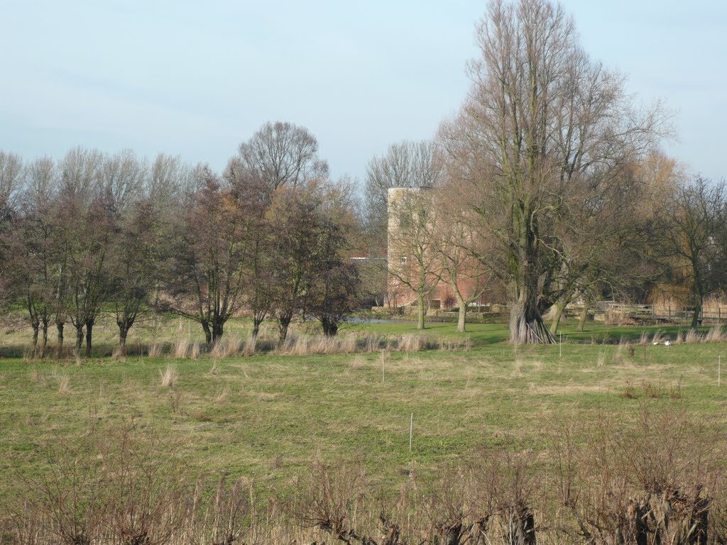 Ruïne Ravesteyn in Heenvliet by bertenco