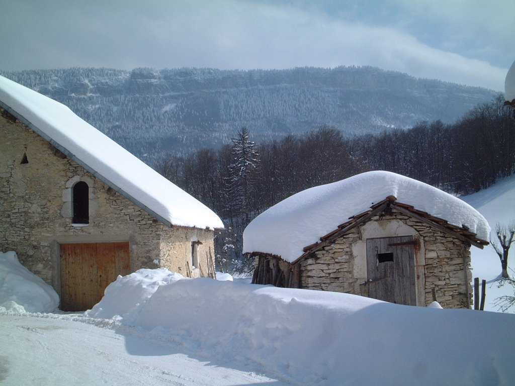 Saint Julien en Vercors - Les Alberts by shouia