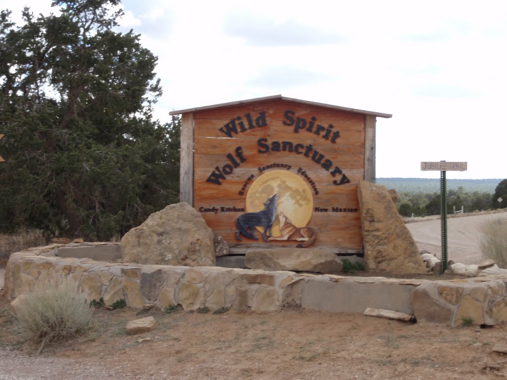 Wild Spirit Wolf Sanctuary, Ramah, New Mexico by UnTju