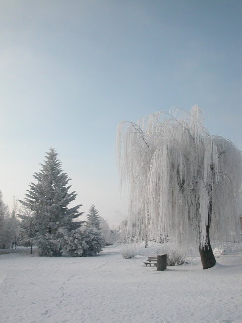 Park by Simon Rusina