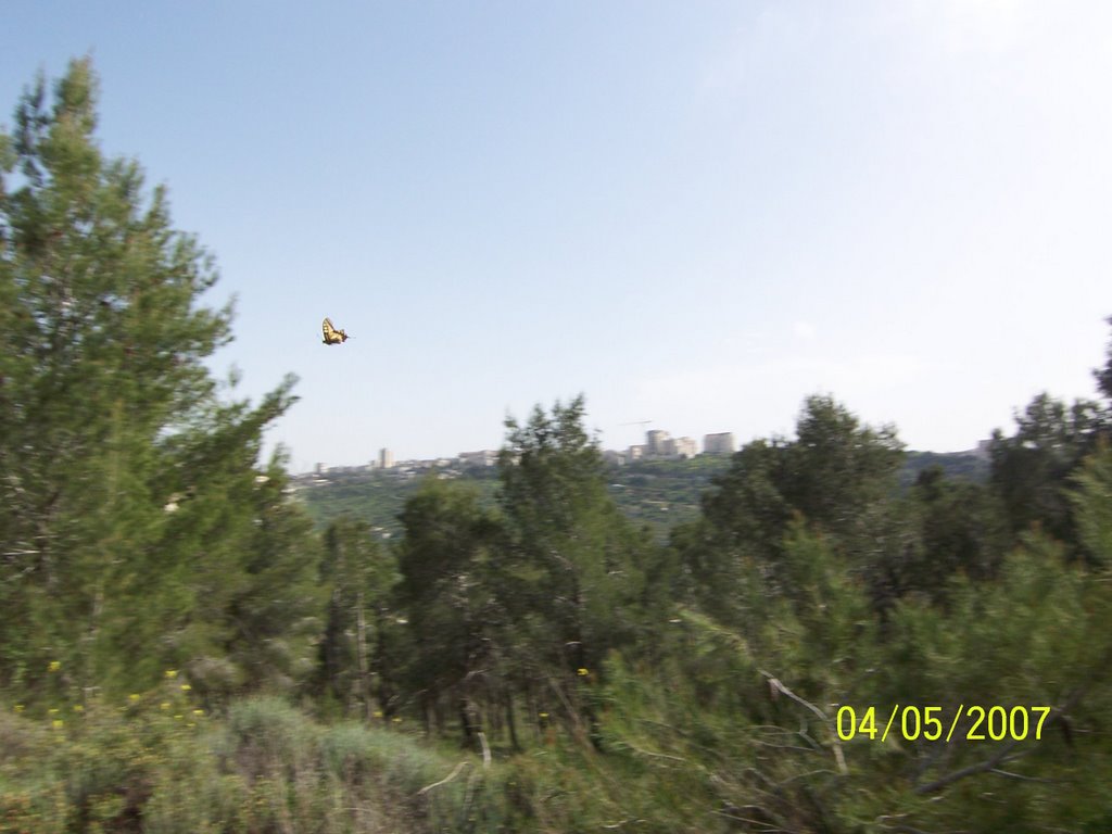 Jerusalem, Israel by kabakov