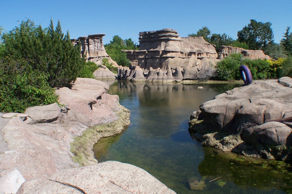 Calgary zoo 1648 by ron-deans