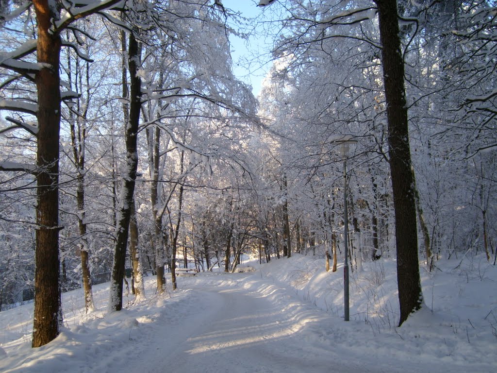 Icy way by Petri Saarinen