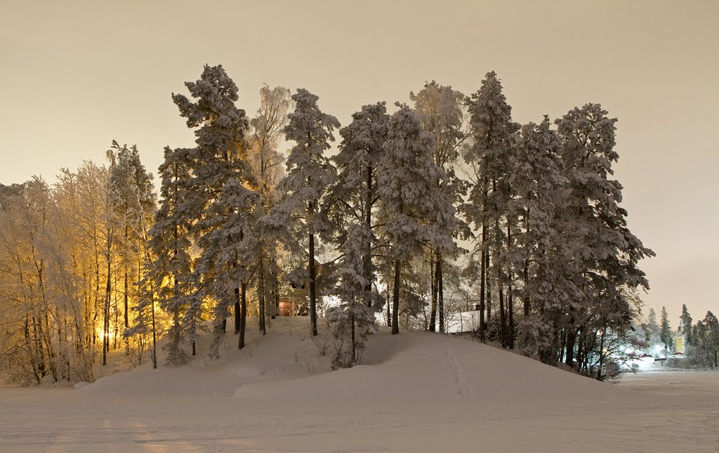 Halosenniemi talvella iltavalaistuksessa by mustohe