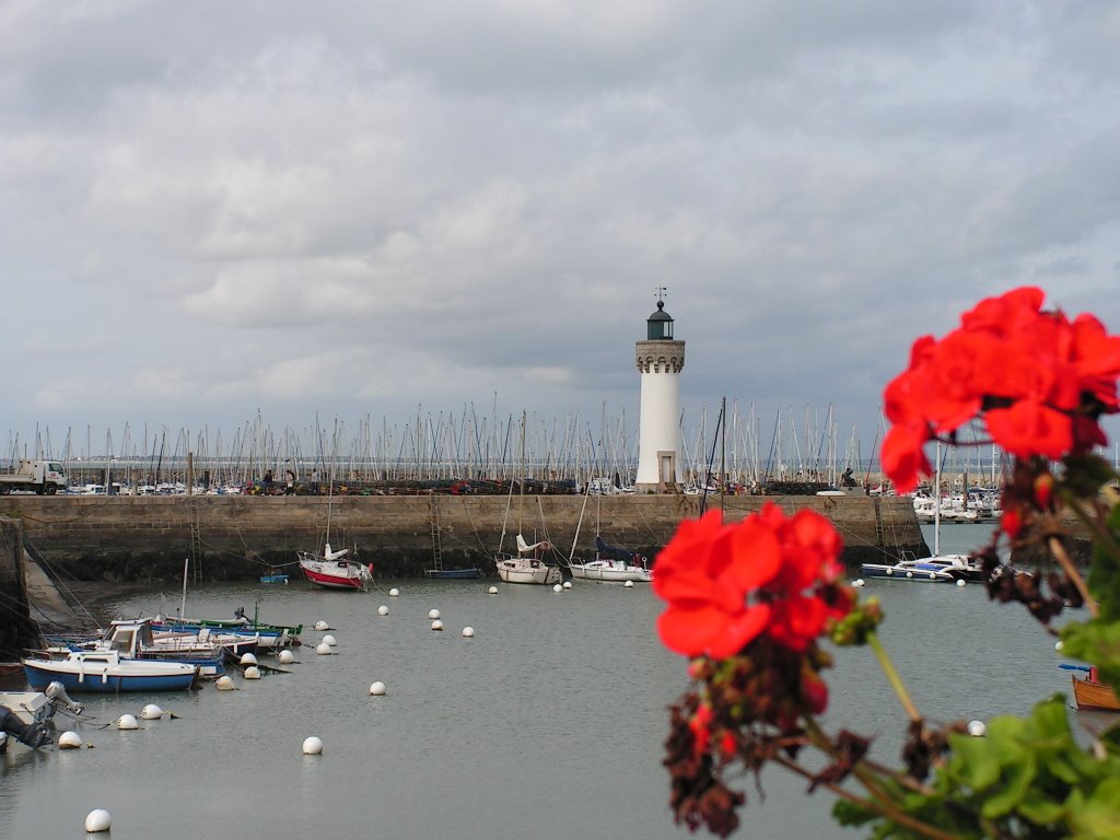 Port Haliguen (Quiberon) by ptitbouba