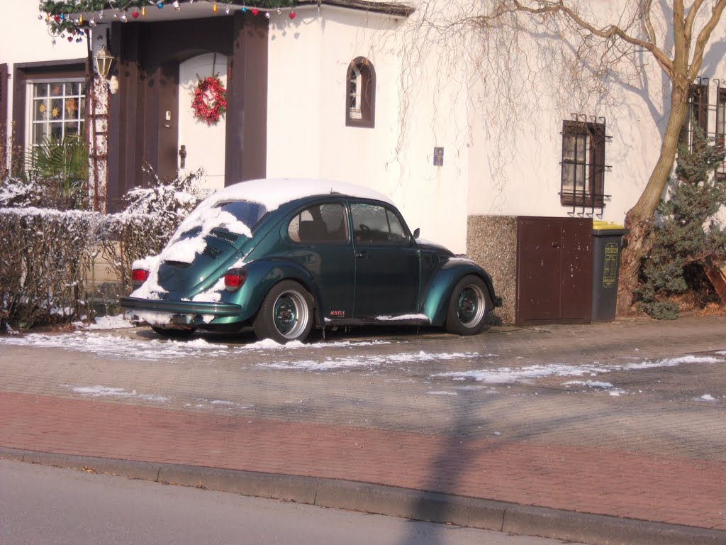 Käfer im Winterschlaf... Psssst! by parcelpanic