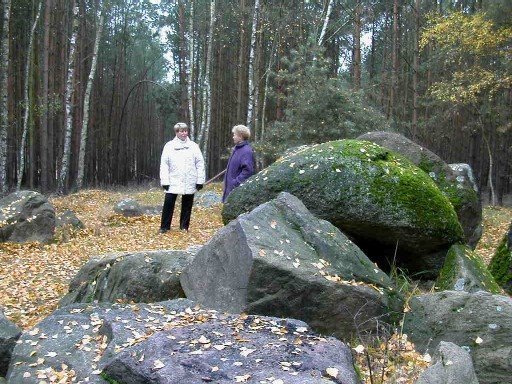 Königsgrab b. Süplingen by Manfred Eichmann