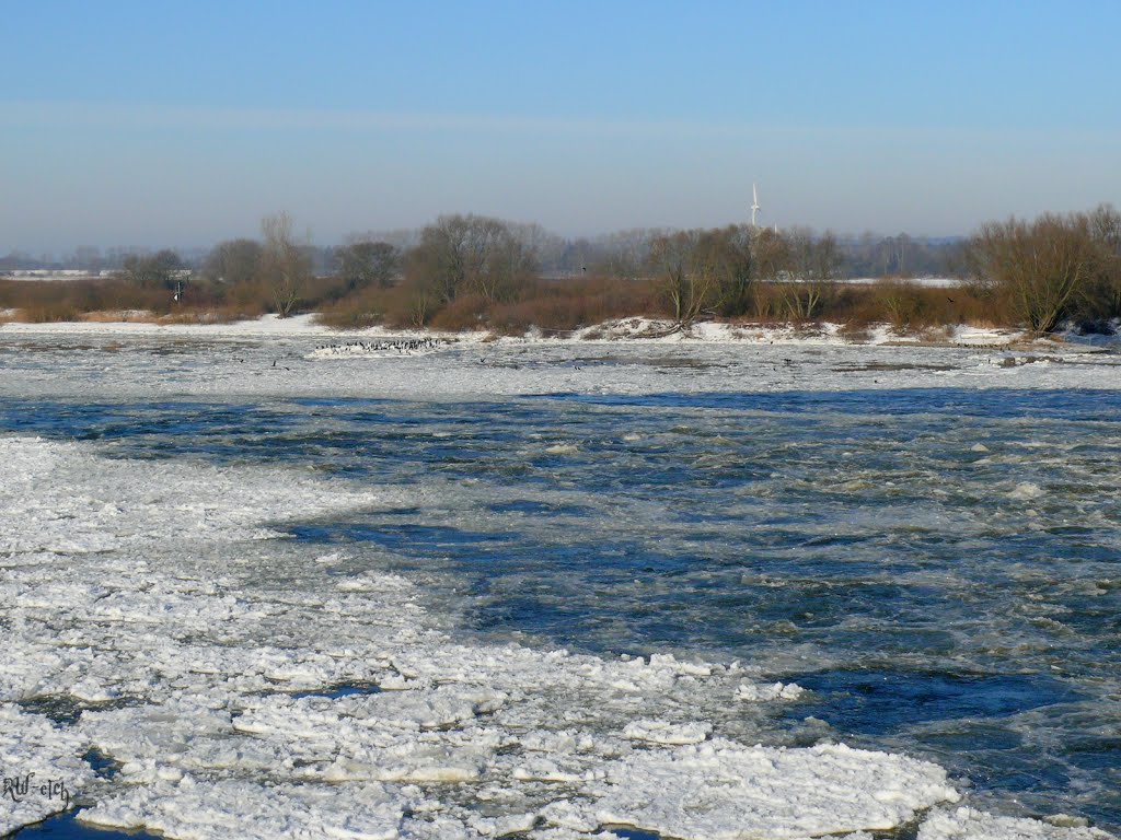 Teilweise fliest die Elbe noch by Robert (elch)