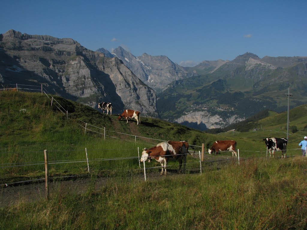 View from Jungfrau raiway by Laura