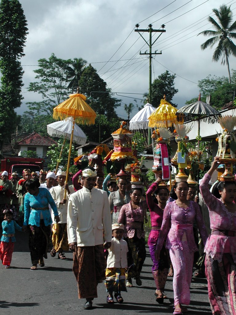 Full moon festival parade by Jim Mansfield