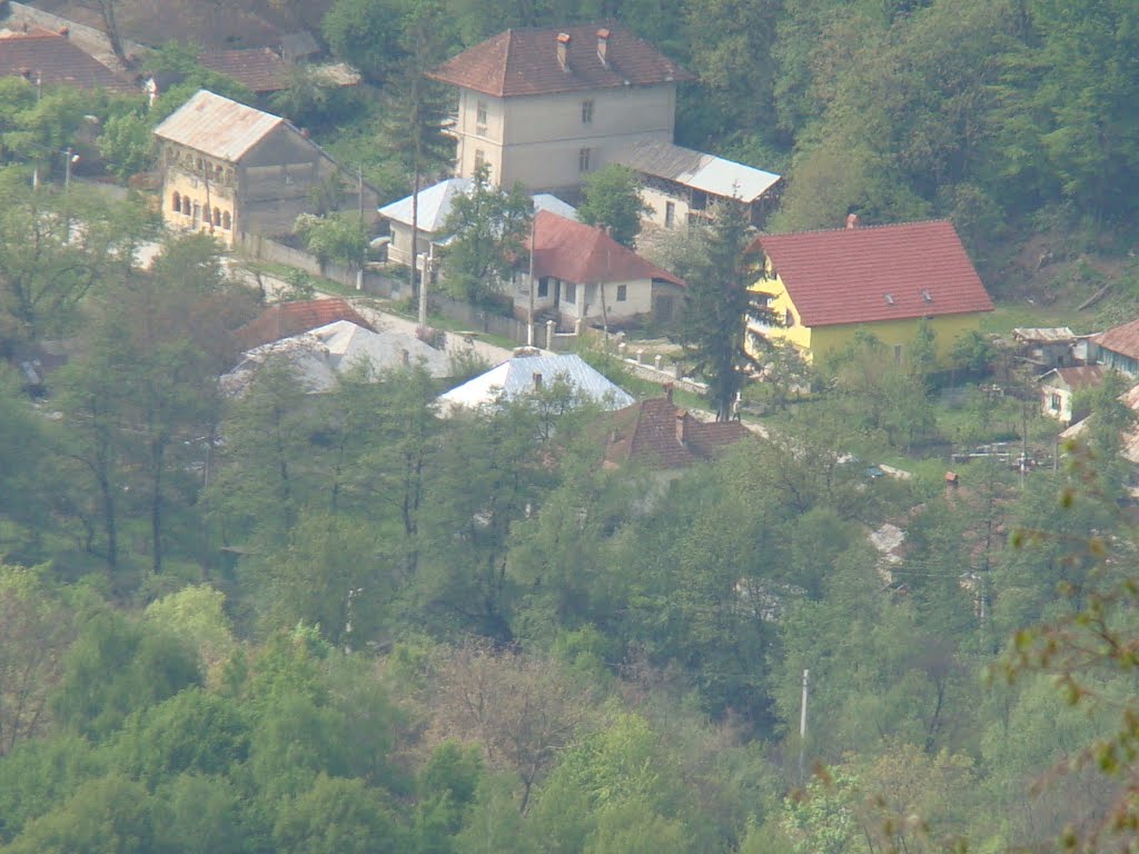 Casa galbena din Bistrita by ViperDex