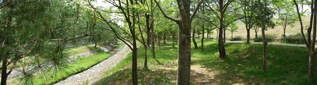 Hiratani River （林の中の平谷川） by hiro.n