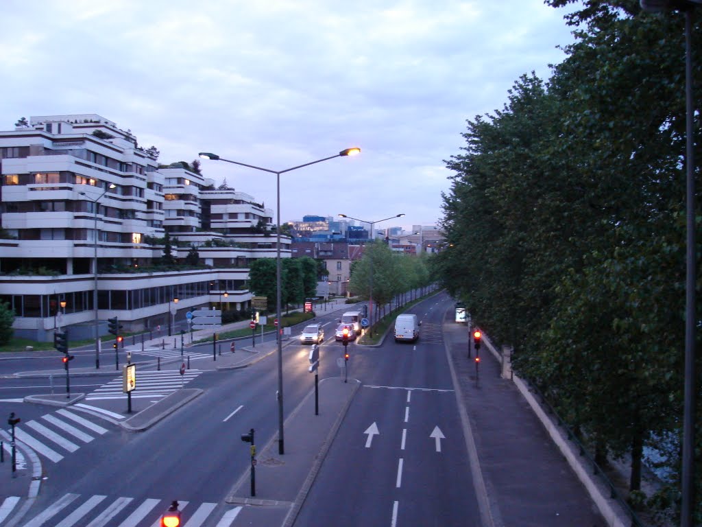 Paris, Quai du Général Gallieni by László Fodor