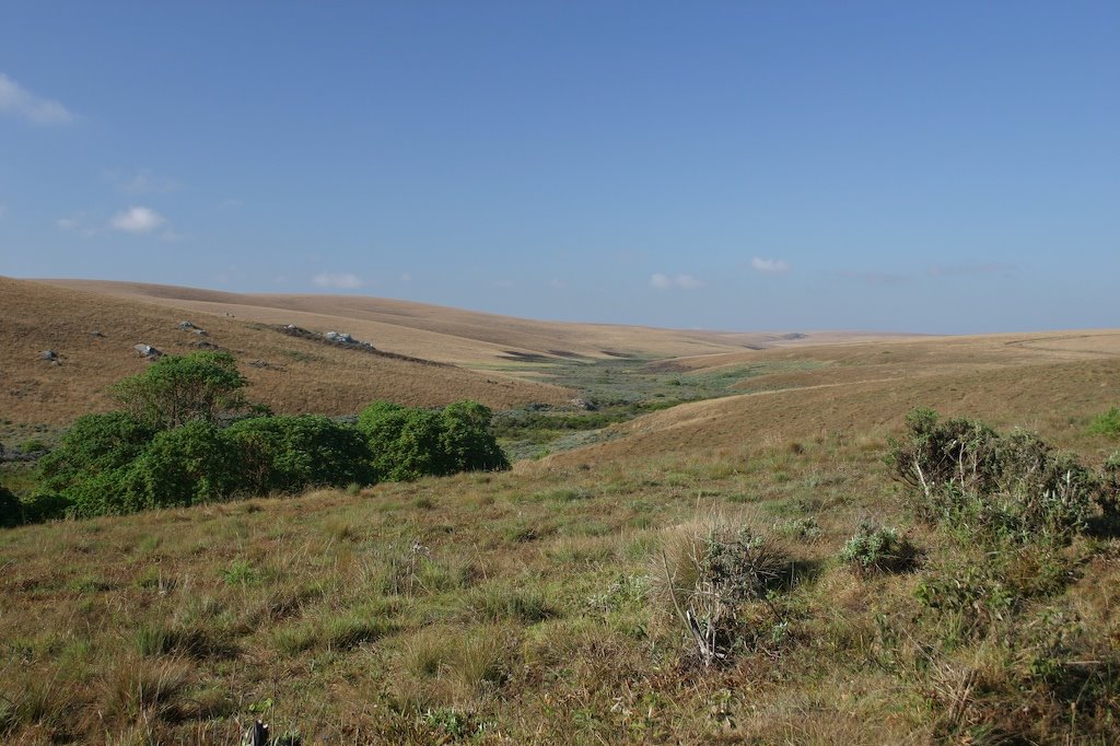 Nyika bei Chelinda by Thomas Wagner