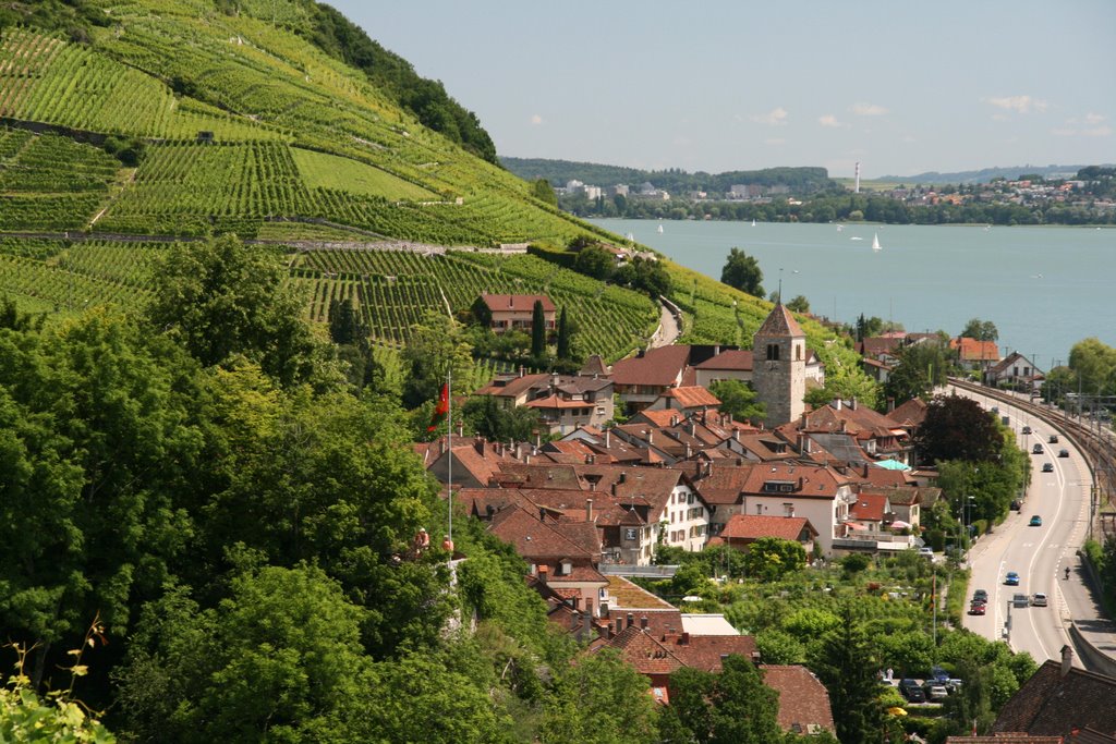 Twann et les vignobles by ID Notley