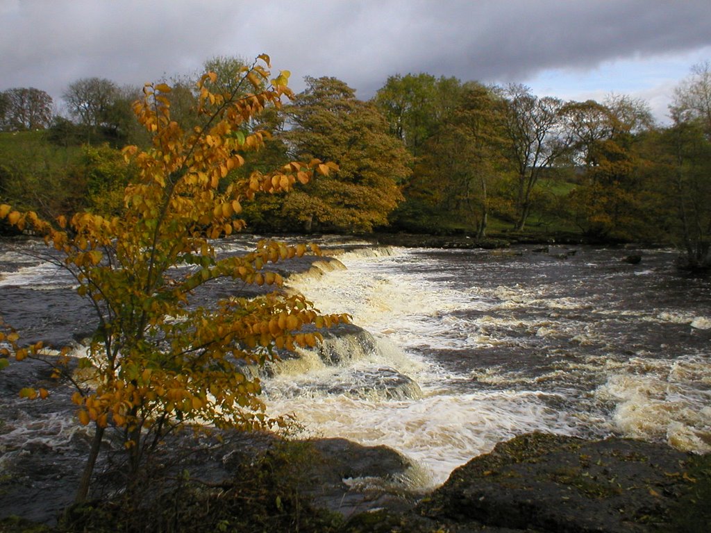 Aysgarth Falls by mauldy