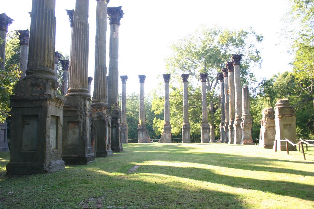 Windsor Ruins near Port Gibson MS by tommydye