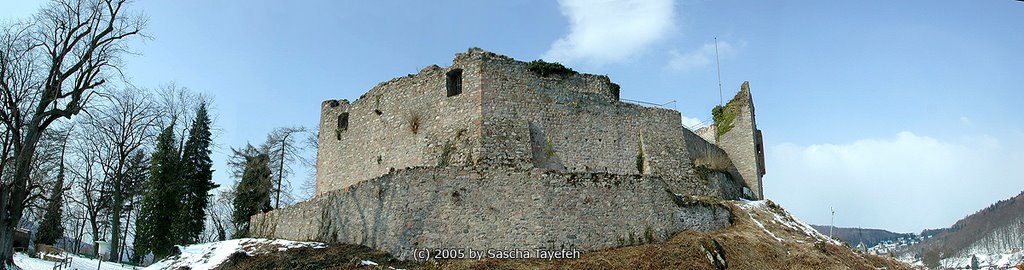 Lindenfels, Germany by Sascha Tayefeh