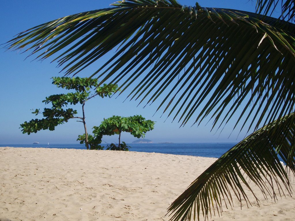 Medano con Palmera en playa de Ipanema, Rio de Janeiro by Nicolas Pauluk