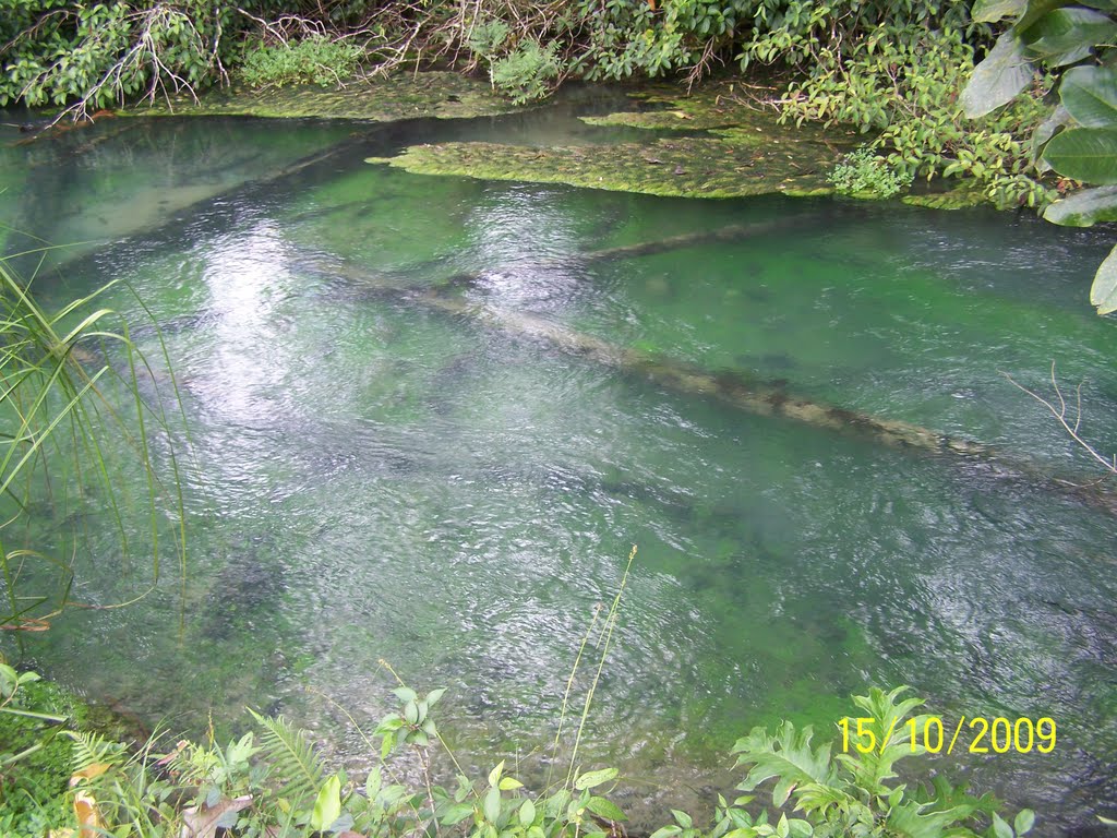 Rio Negro by otto.armas