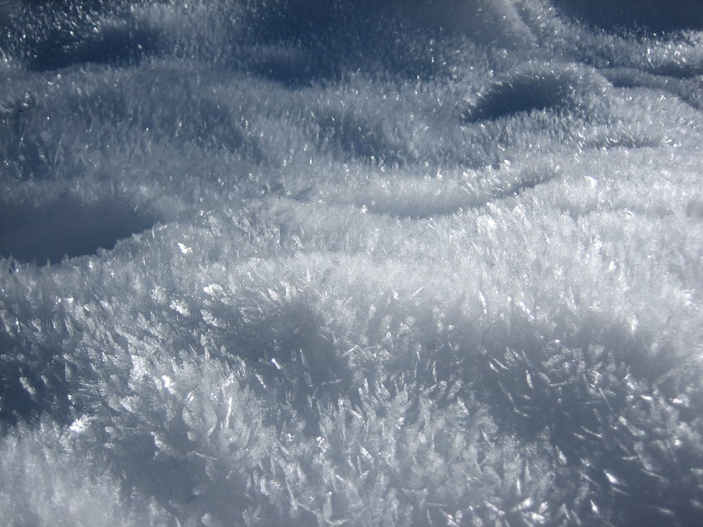 Crystal of snow near aspen by Young Kim