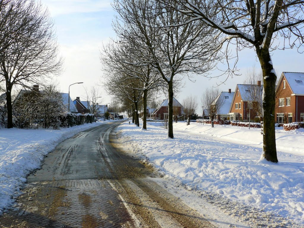 Kleiweg. winter 2009 by DERK HEIZENBERG