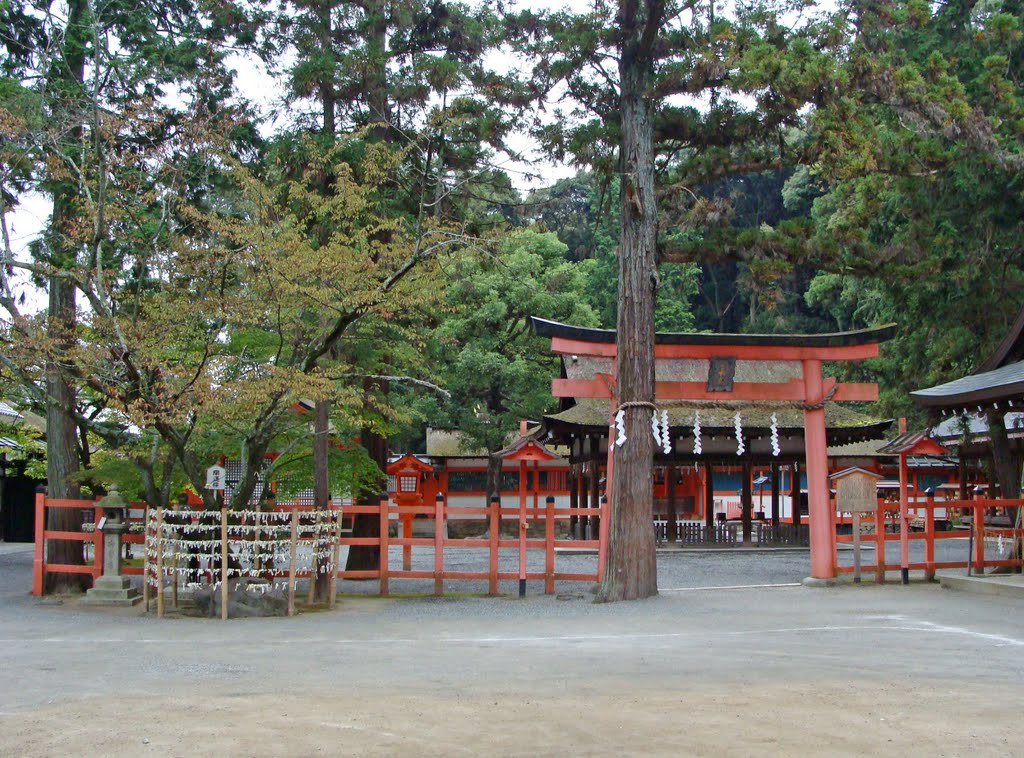 吉田神社 by Ishiki