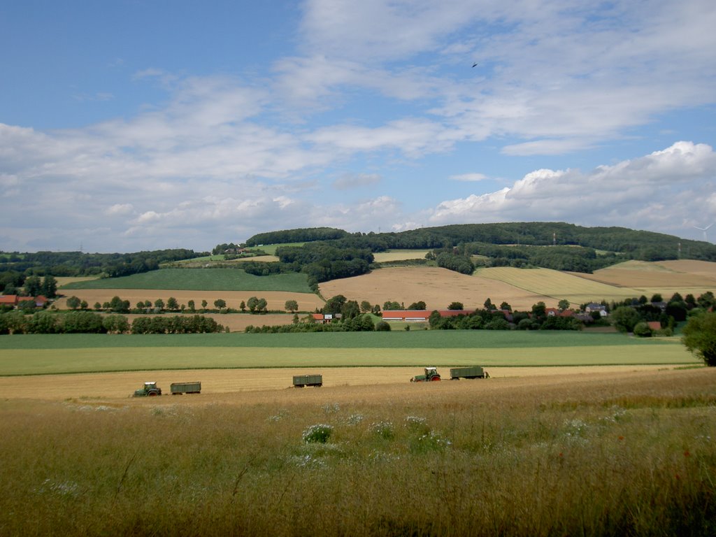 Some farm equipment in a field near Exter, Germany by skicavs