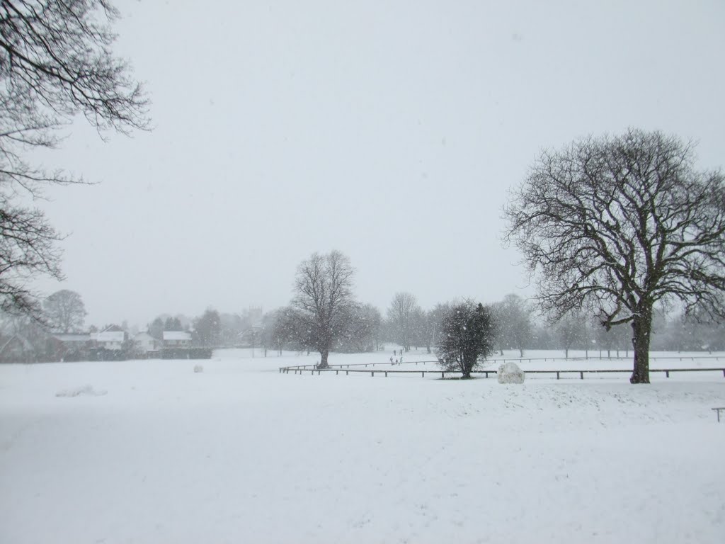 Snowing in Eversley park by John Ainsworth