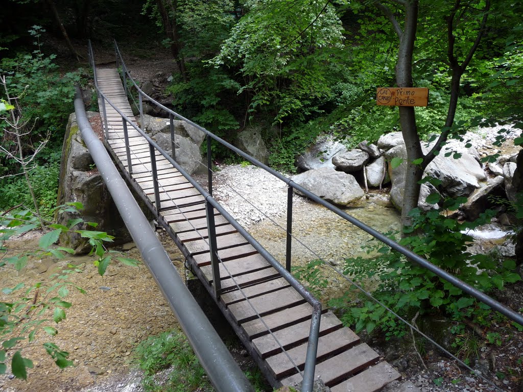 Malgrado le apparenze vi assicuro che non è una passeggiata "del tubo" (Sentiero verso i tre Alp e ponticello sul Torrente Ravella - Canzo - CO) by Ilda Casati