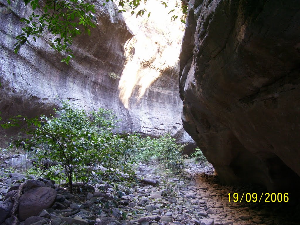 Boowinda Gorge - Carnarvon Gorge by cda101