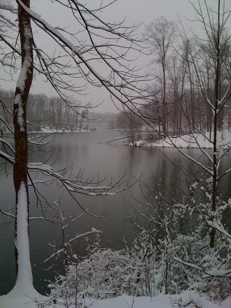 Forked branch corner - snowy day by scenographer