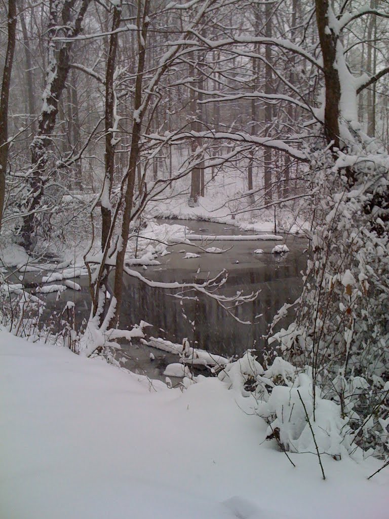 Little Seneca Creek - snowy day by scenographer