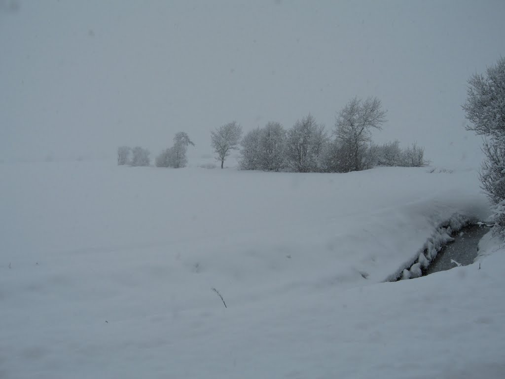 Schnee auf den Feldern 01/2010 by UNissen