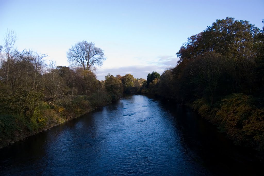 Up the taff (towards cardiff) by niccin