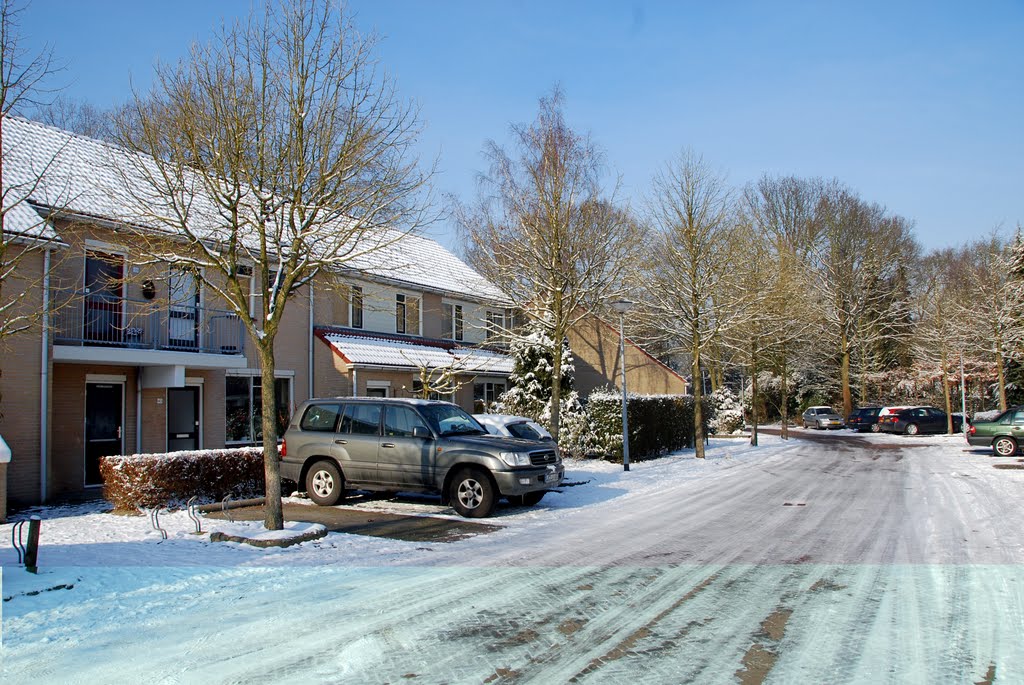 Jean-Landréhof in de winter by Grüni sen.