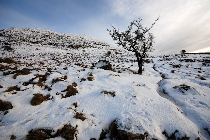 Slemish Slopes in Winter by Marek Koszorek www.wild-art.eu