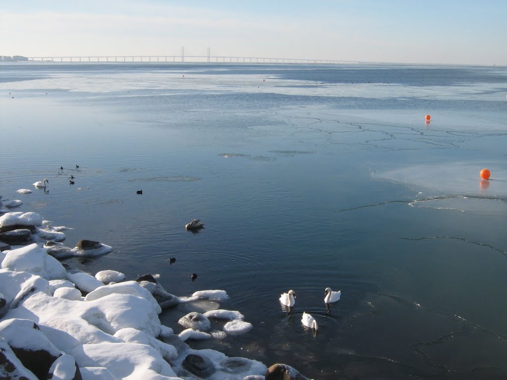 Västra Hamnen, Malmö by Henrik Sjöberg