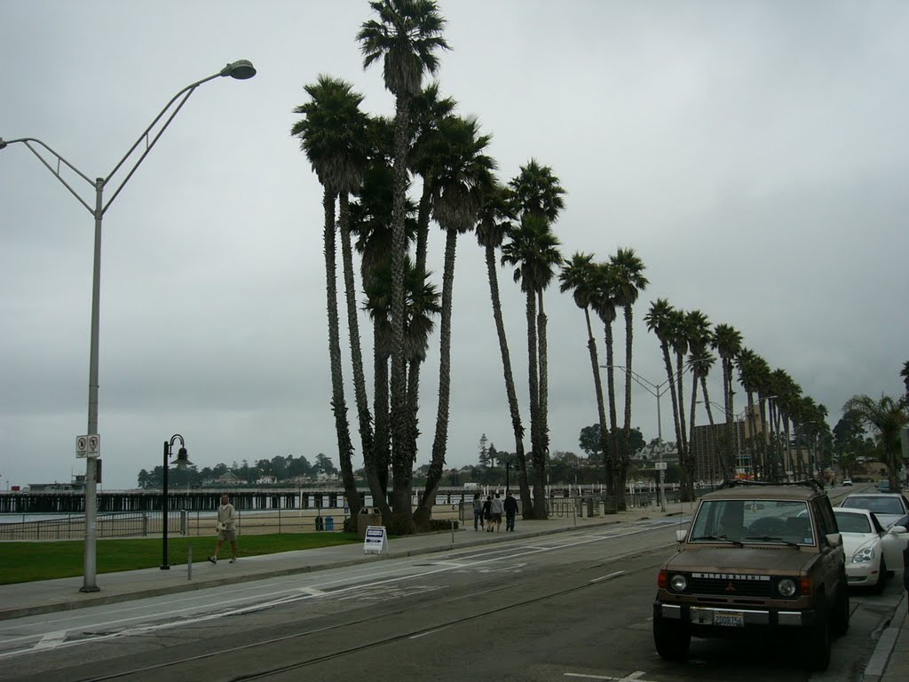 Santa Cruz California by Jamie Cane