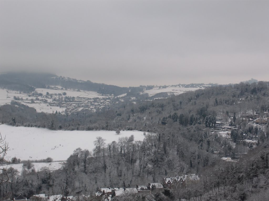 Snowy matlock by guycc1