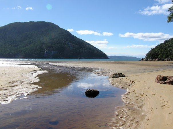 Looking from Sealers Creek to Sealers Cove "Glenn McKeown" by Brian Shirtliff