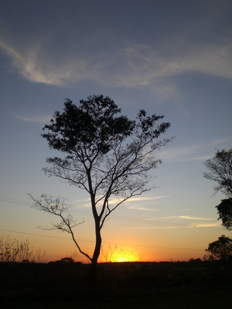 Nascer do sol - Dourados - Mato Grosso do Sul - MS - Brazil by Paulo Yuji Takarada