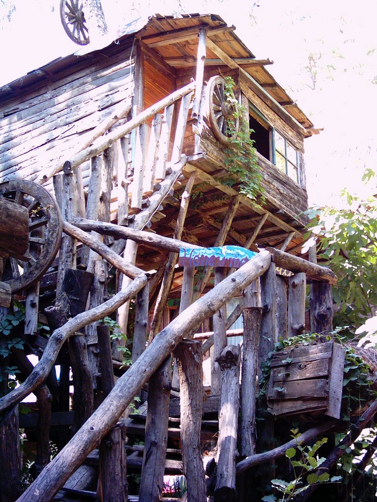 Honey Moon Suite (Kadir's Tree Houses) by Bahadır SARI