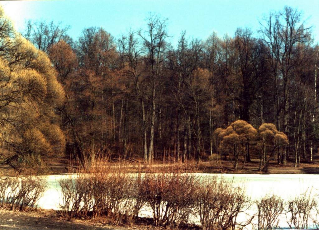 Winter pond by Andrew Tyukavkin