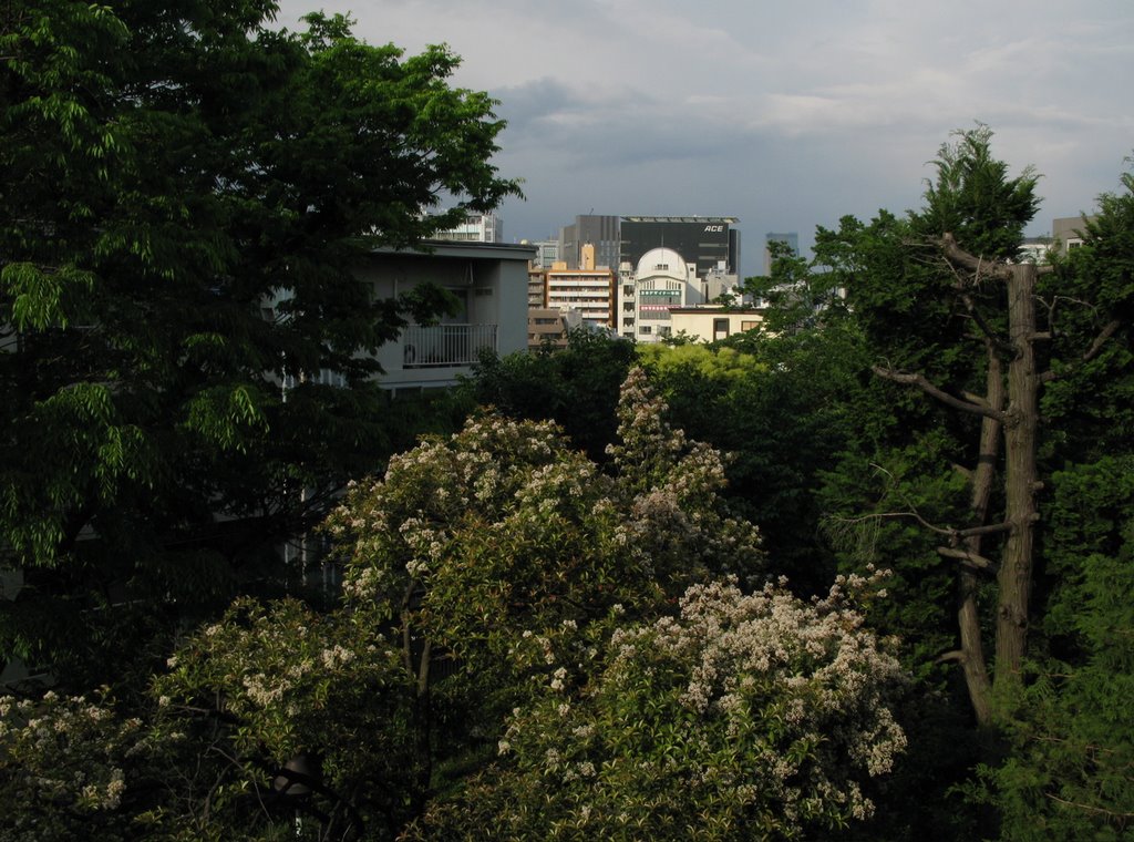 Shibuya seen from Uguisu-apartment, may_10 by numaG