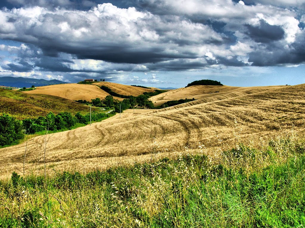 Toscana in giugno 2 by Max Neri